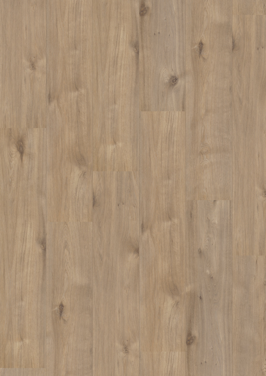 Hoomline Laminaat Royal XL V2 969 ALPE D'HUEZ