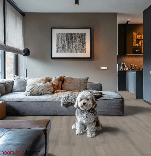 Hoomline Laminaat Elite Classic V4 AMBER 6041 - Solza.nl