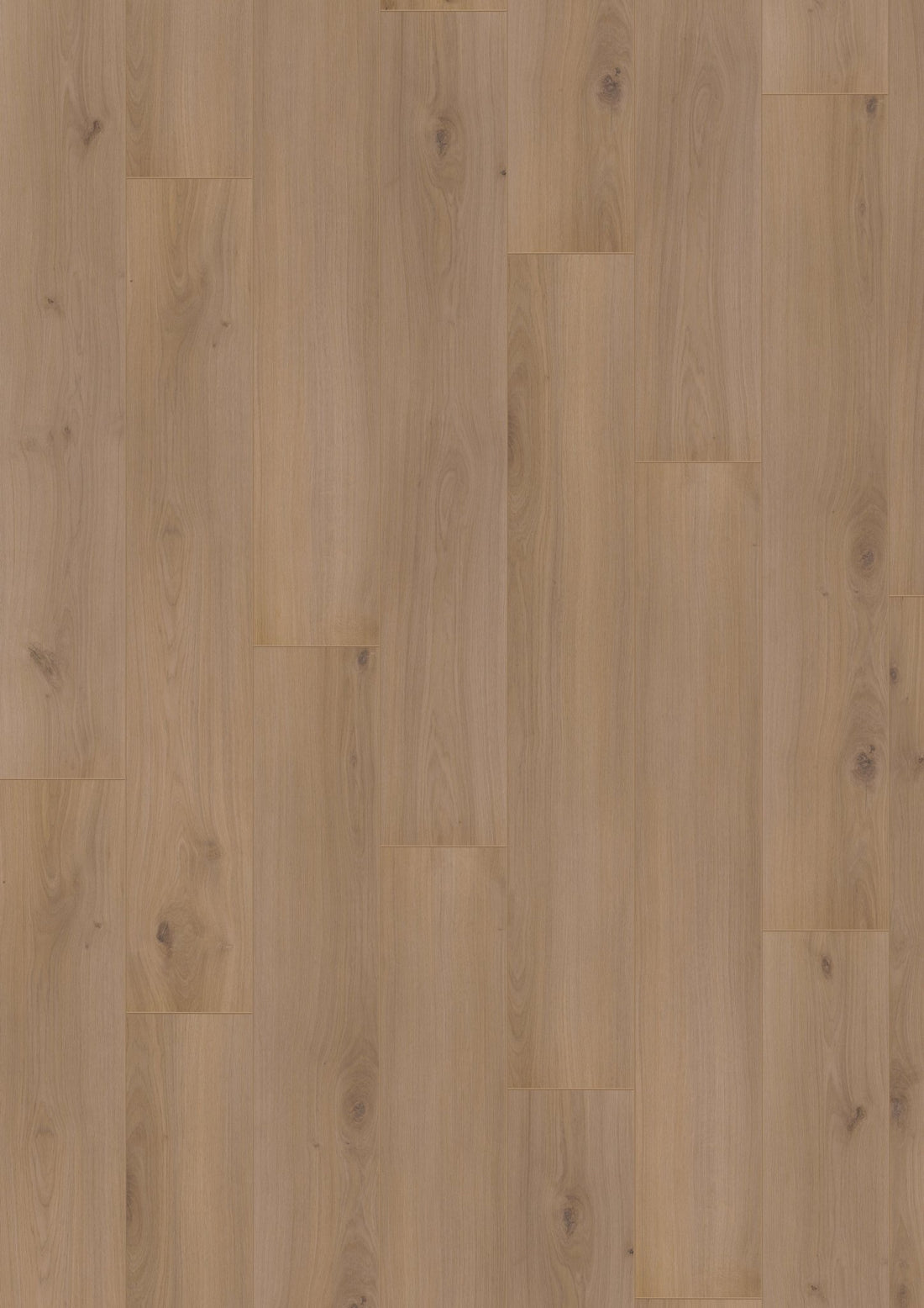 Hoomline Laminaat Optima V4 4937 ALICE SPRINGS - Solza.nl