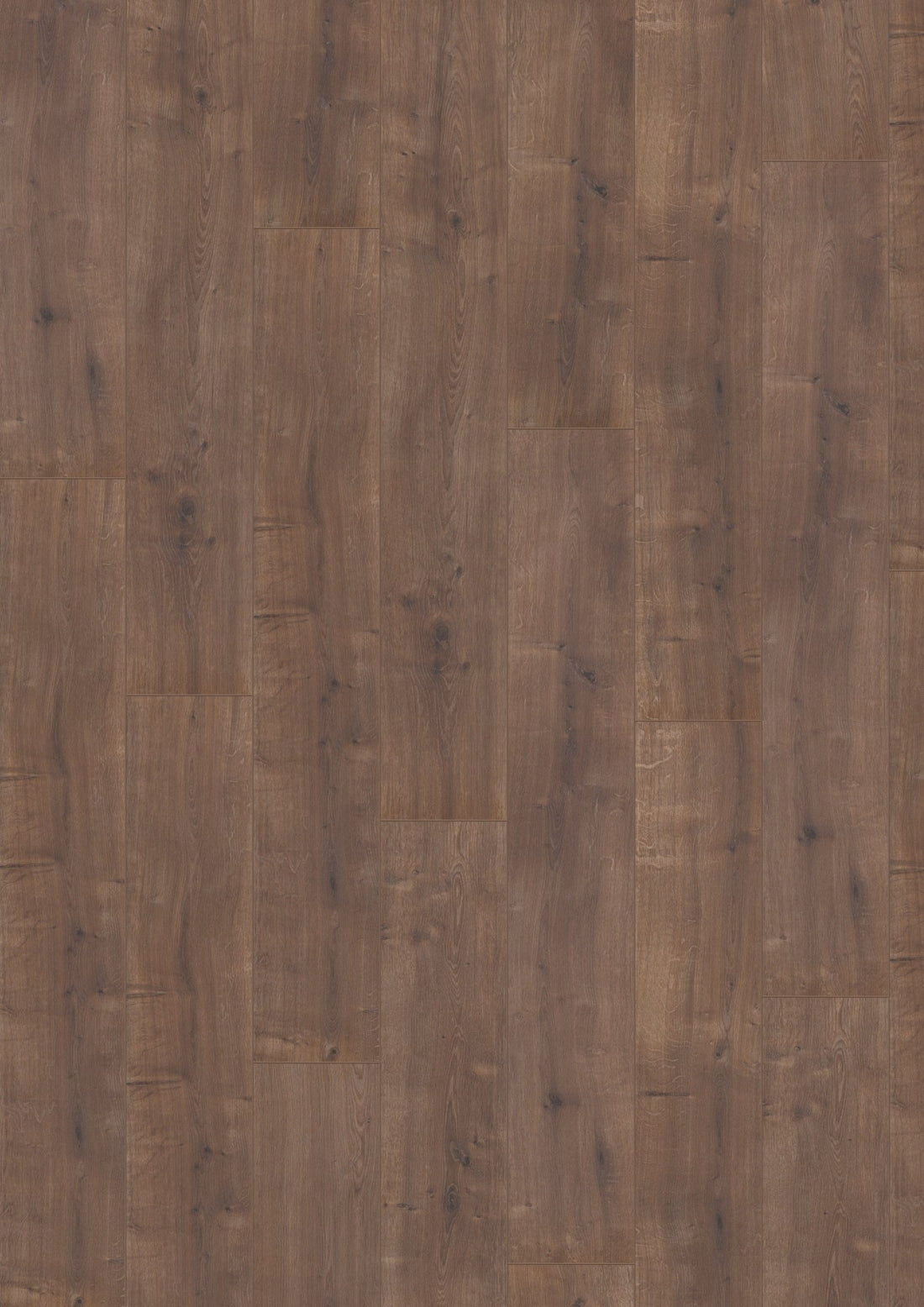 Hoomline Laminaat Optima V4 959 CAIRNS - Solza.nl