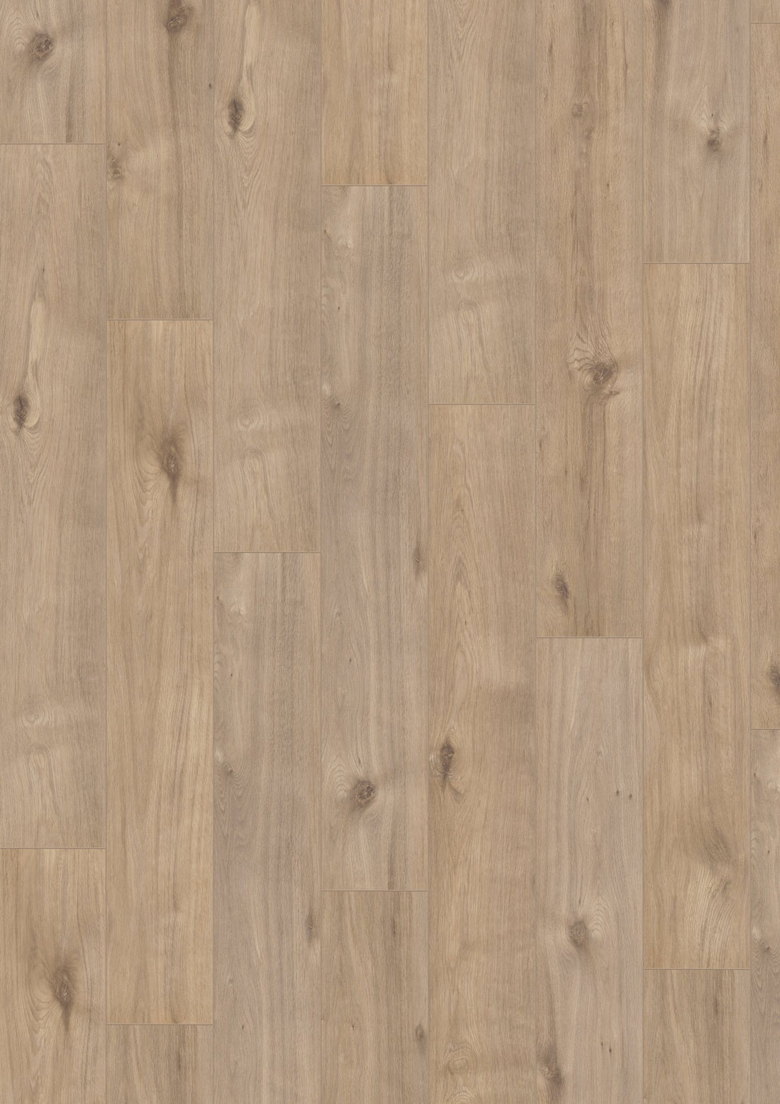 Hoomline Laminaat Optima V4 969 AUCKLAND - Rustiek eikenlook 126.10 x 19.20 cm - Solza.nl