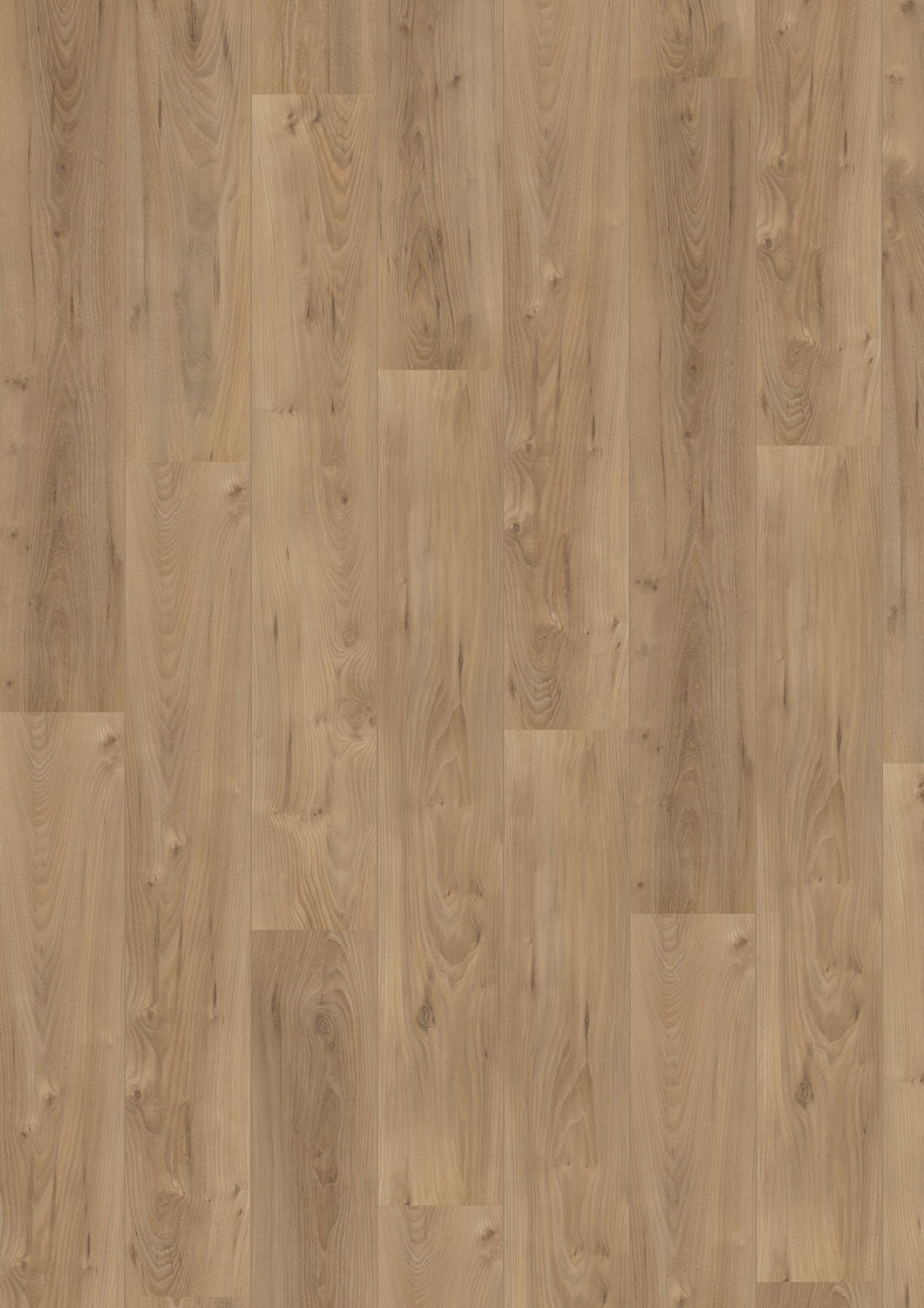 Hoomline Laminaat Royal V2 167551 LAZIO - Solza.nl