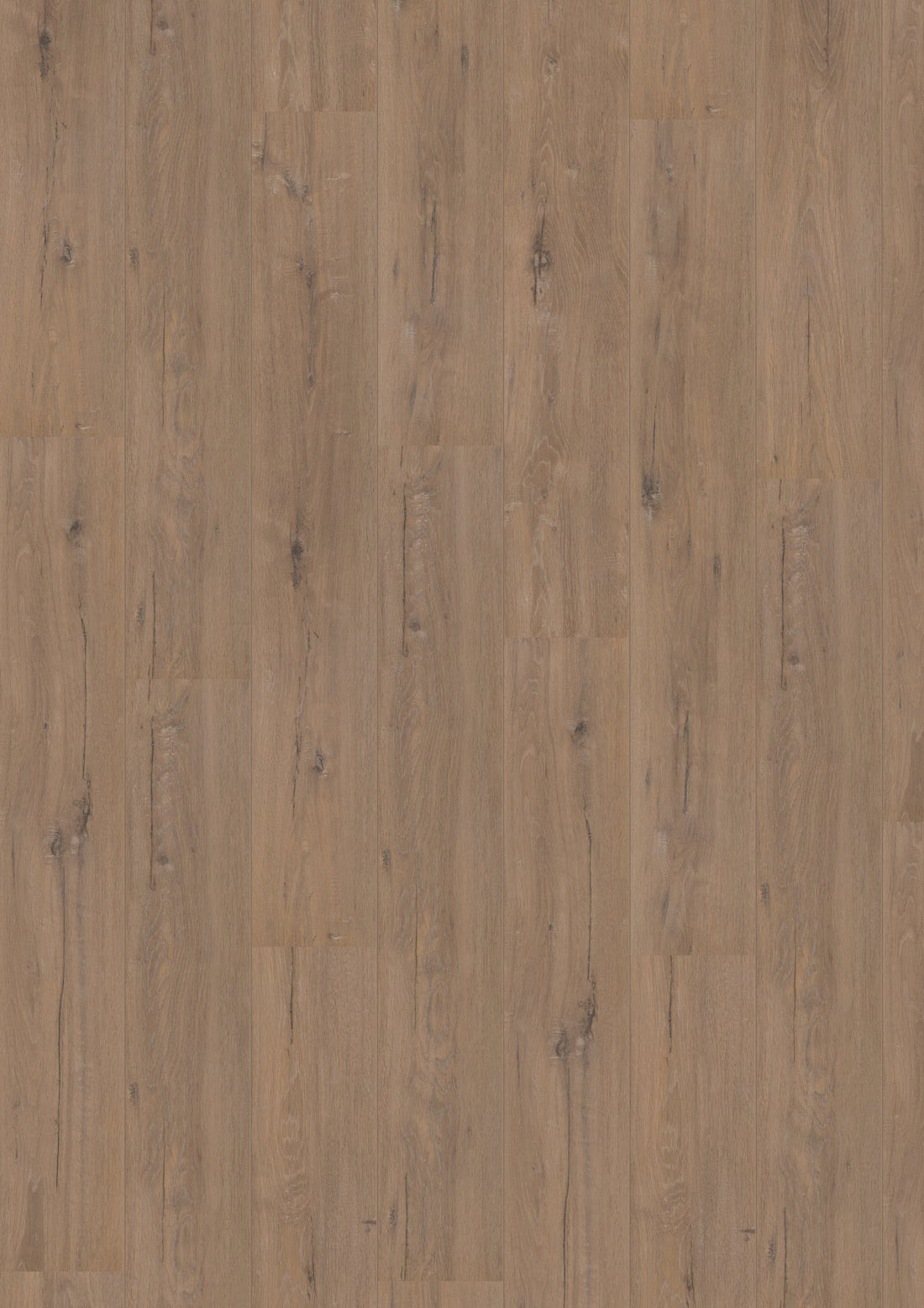 Hoomline Laminaat Royal V2 329022 TOSCANE EIK - Solza.nl