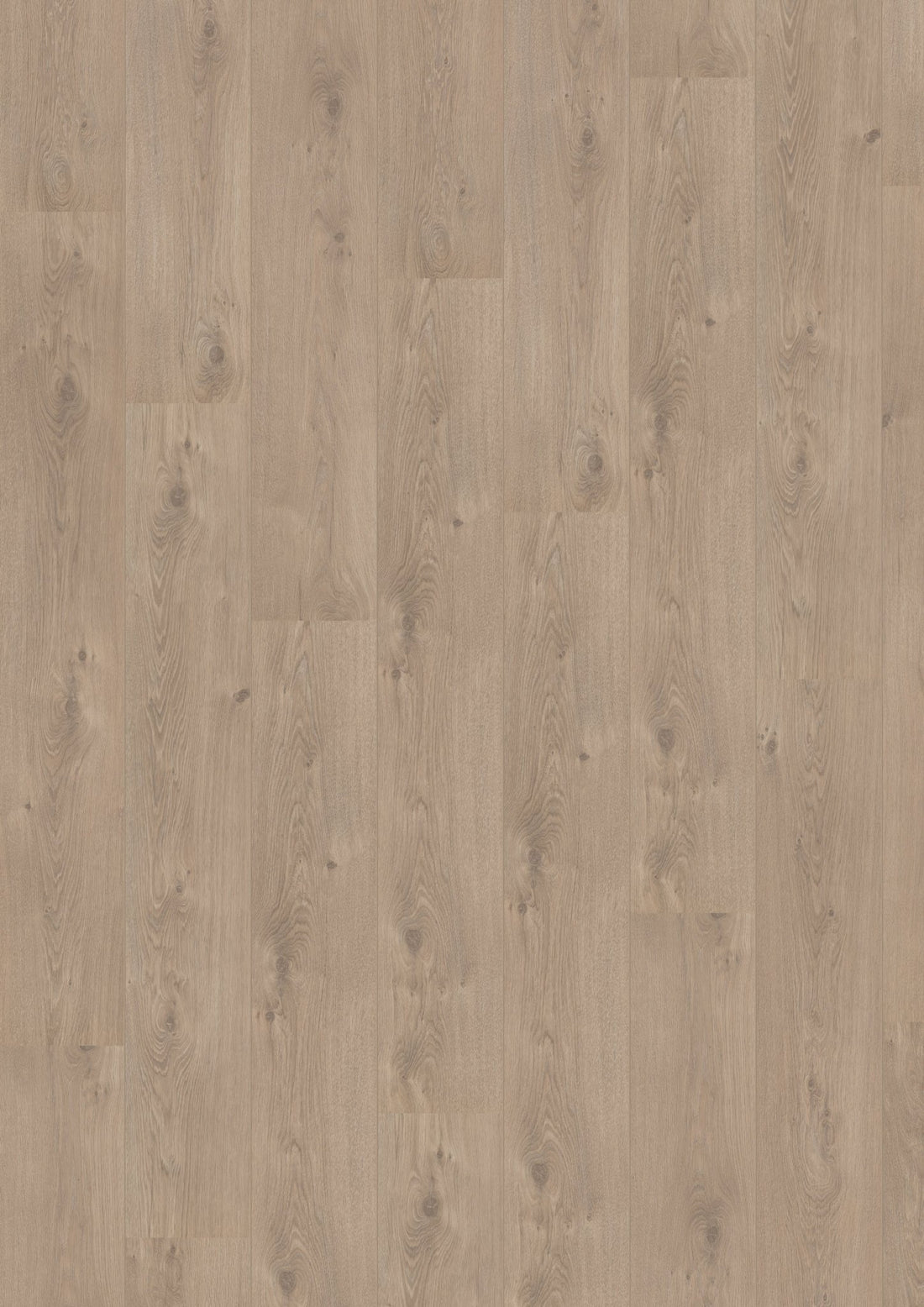 Hoomline Laminaat Royal V2 Aquaprotect 4941 PUGLIA - Solza.nl