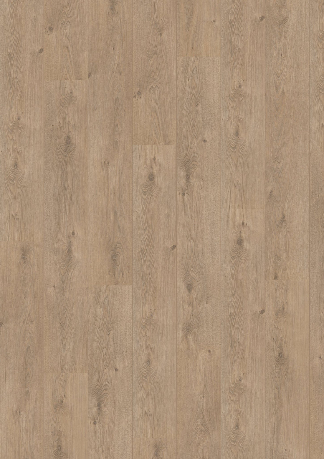 Hoomline Laminaat Royal V2 Aquaprotect 583 MARCHE - Solza.nl