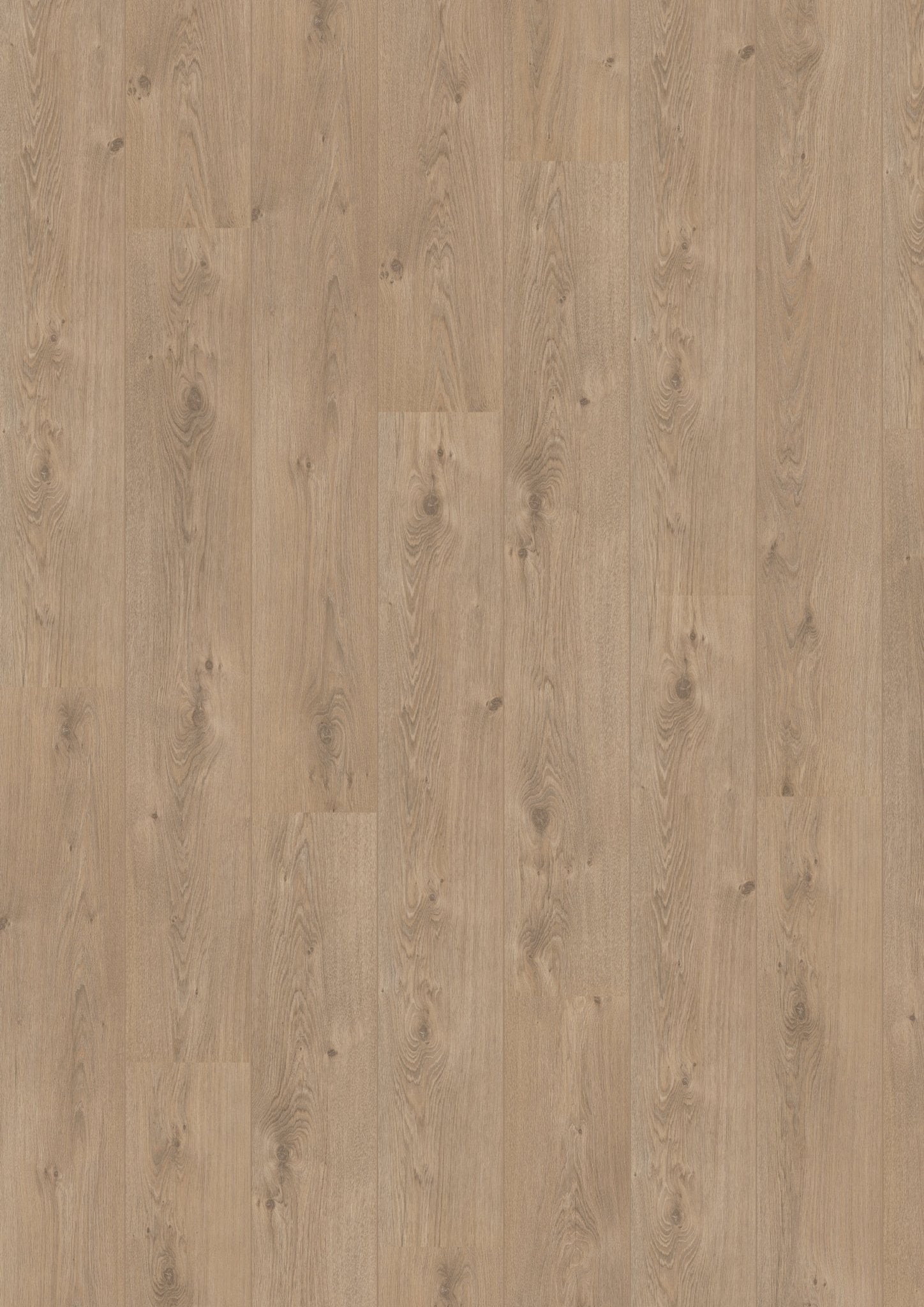 Hoomline Laminaat Royal V2 Aquaprotect 583 MARCHE - Solza.nl