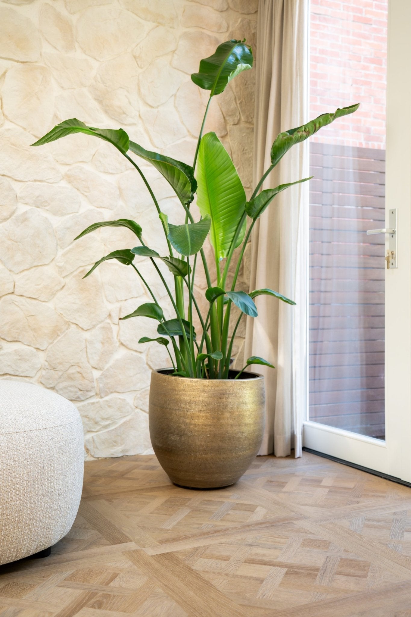 vtwonen Royal Sun Kissed Dryback Plak PVC - Kasteelvloer / Versailles tegels 61x61 cm - Solza.nl