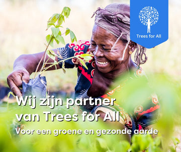 Vloerenwinkel Solza gaat groen: 200 bomen per jaar geplant via Trees for All - Solza.nl