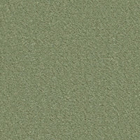 Ambiant Lodi groen 0900 tapijt - Solza.nl