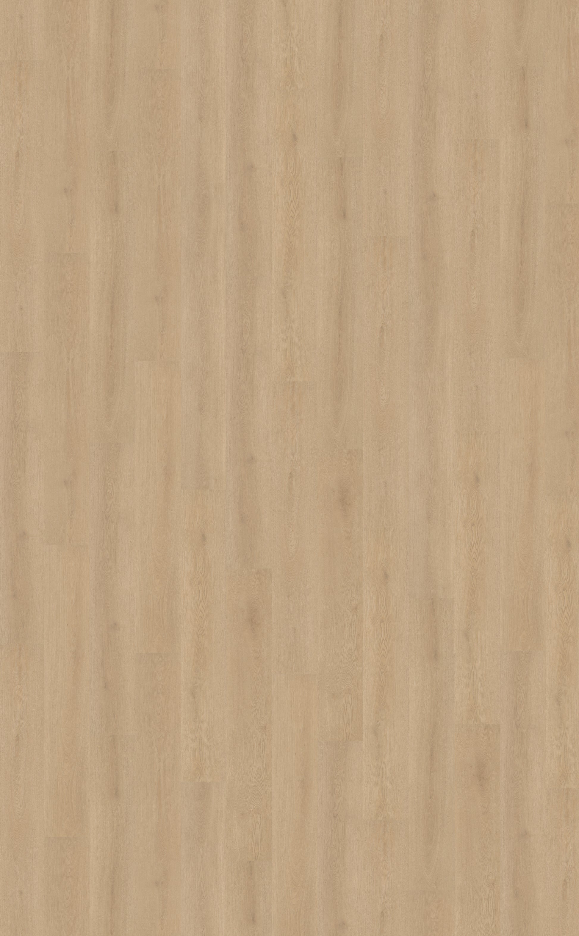 Belakos Puro 410 Rigid Click PVC