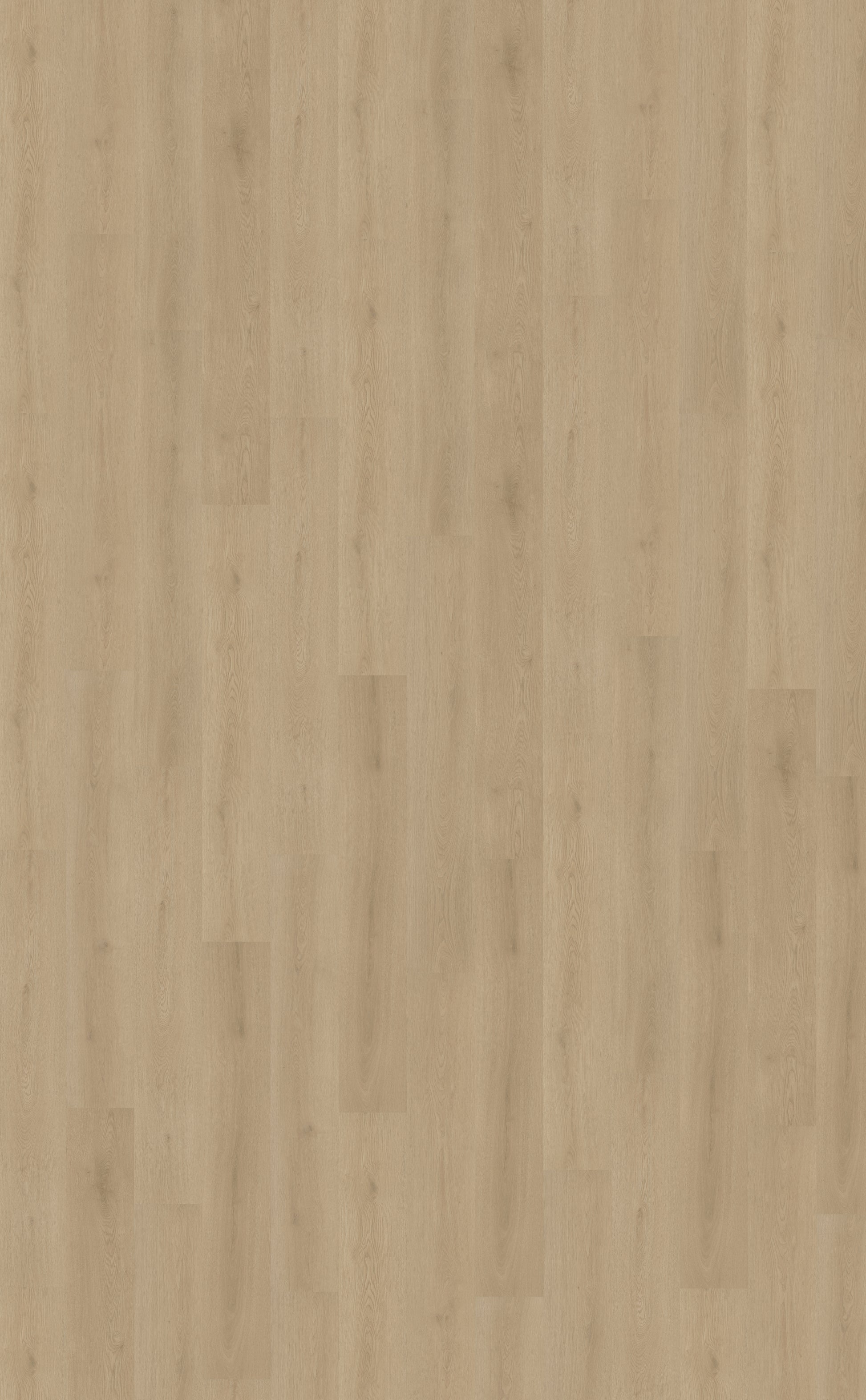 Belakos Puro 450 Rigid Click PVC