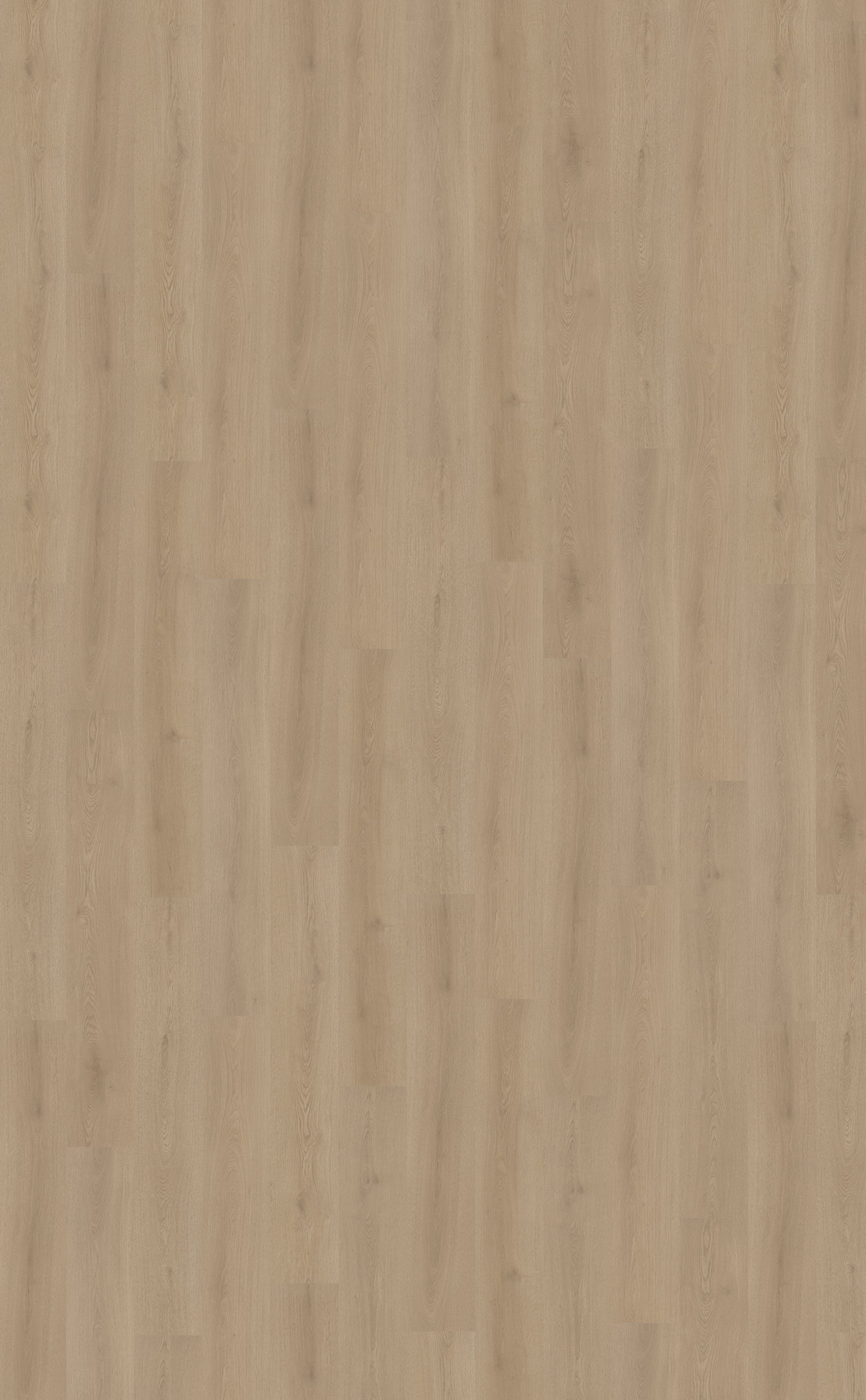 Belakos Puro 460 Rigid Click PVC