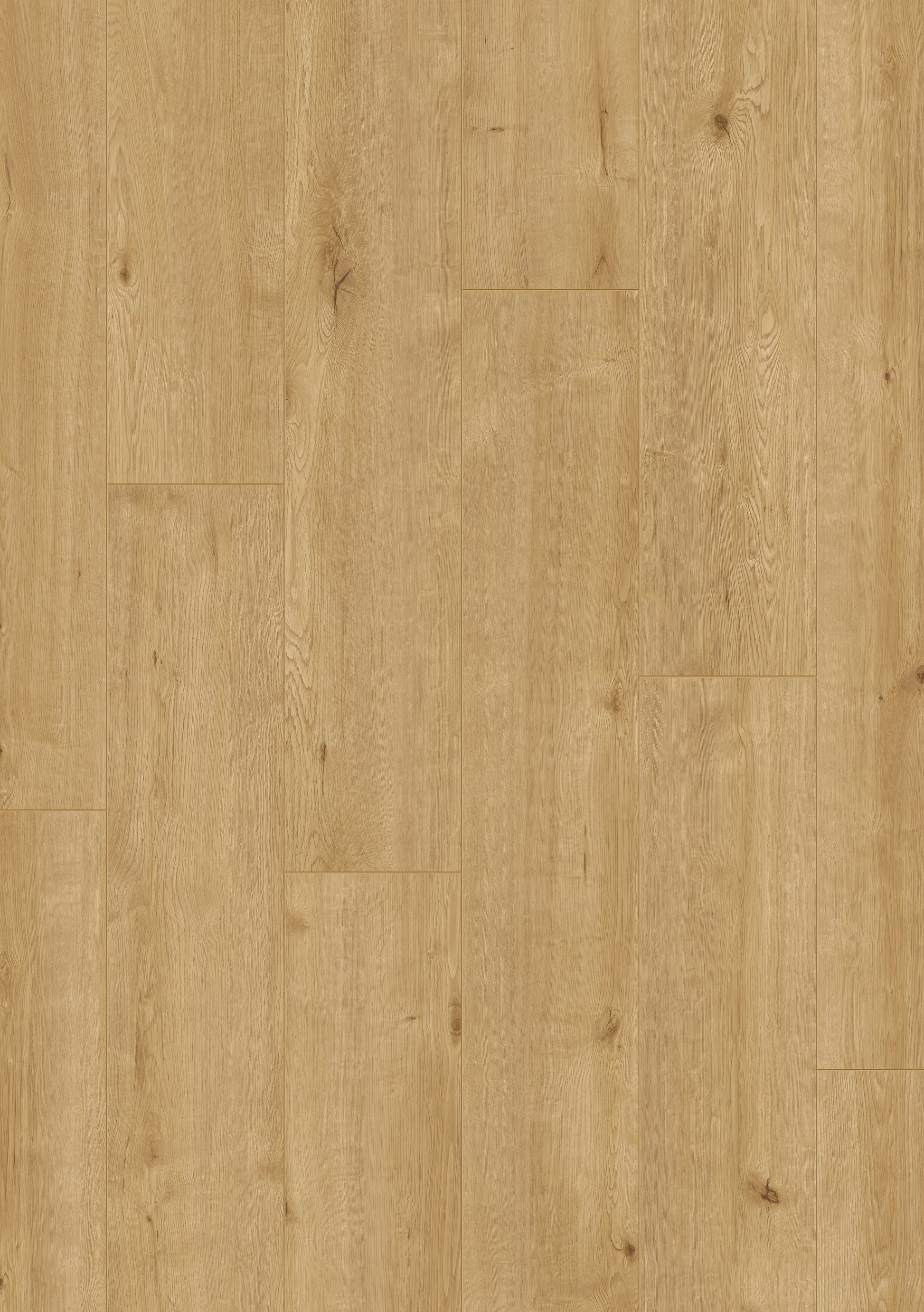 Beautifloor Henegouwen Jurbeke Laminaat 400107319