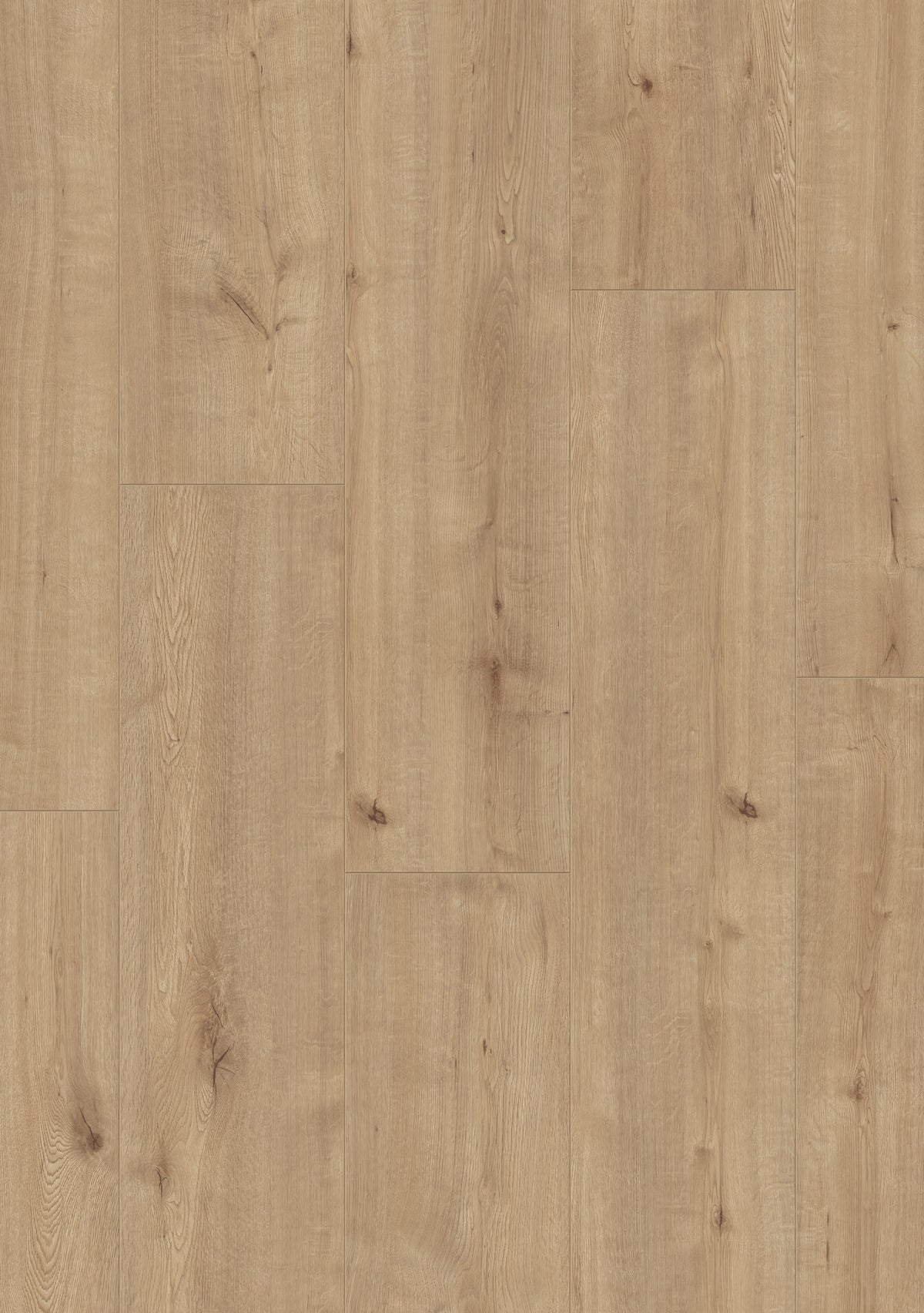Beautifloor West-Vlaanderen Fortem Laminaat 400107321