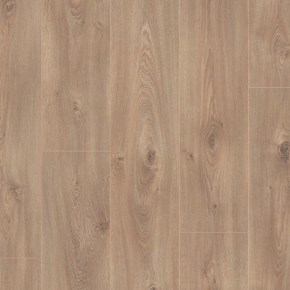 Beautifloor West-Vlaanderen Gistel Laminaat 400107322