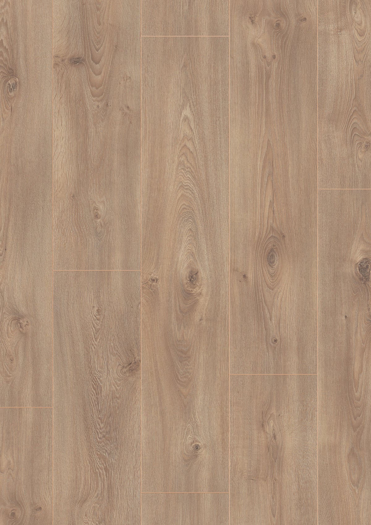 Beautifloor West-Vlaanderen Gistel Laminaat 400107322