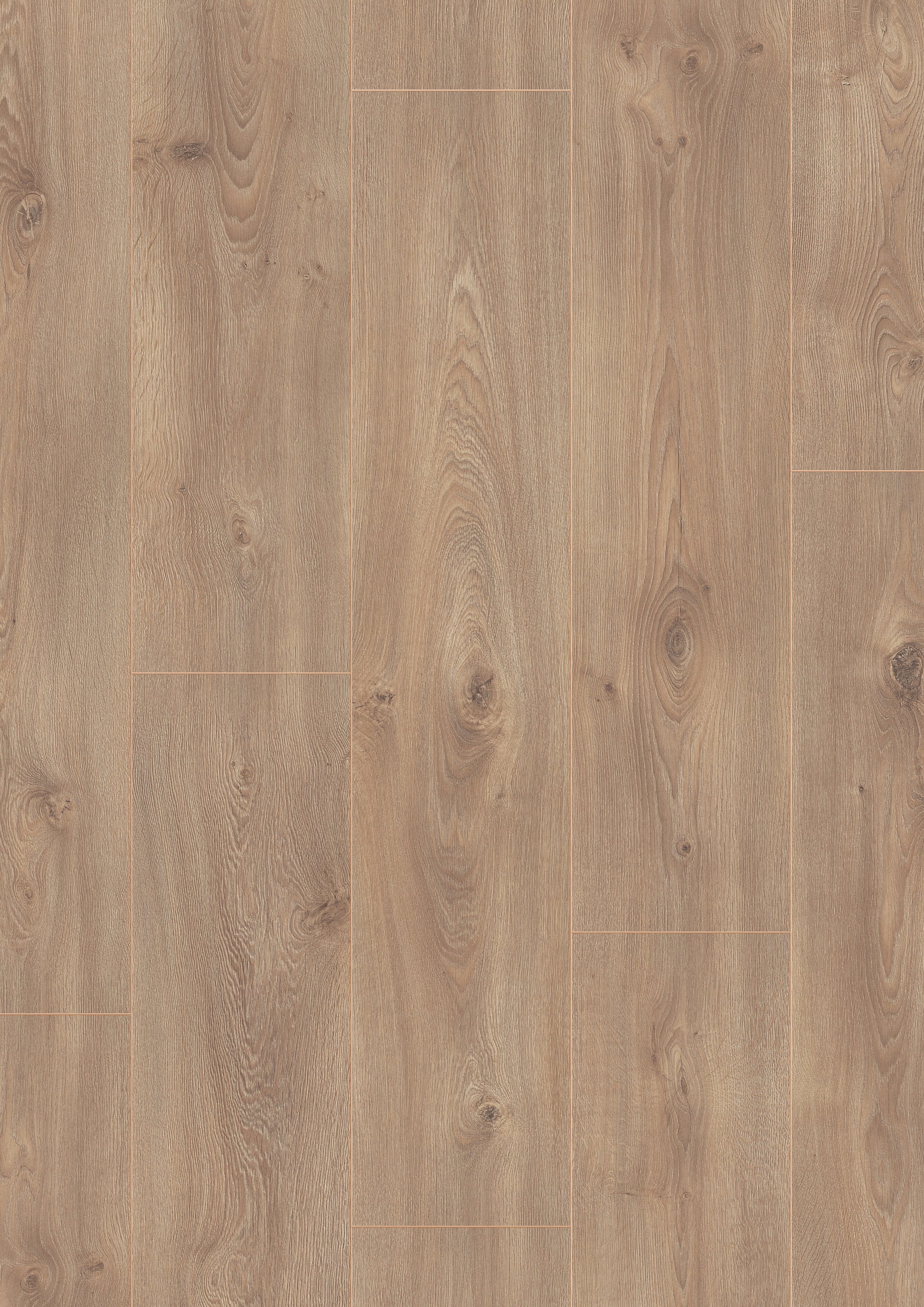 Beautifloor West-Vlaanderen Gistel Laminaat 400107322