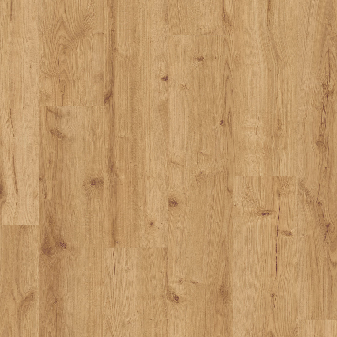 Beautifloor West-Vlaanderen Hooglede Laminaat 400107323