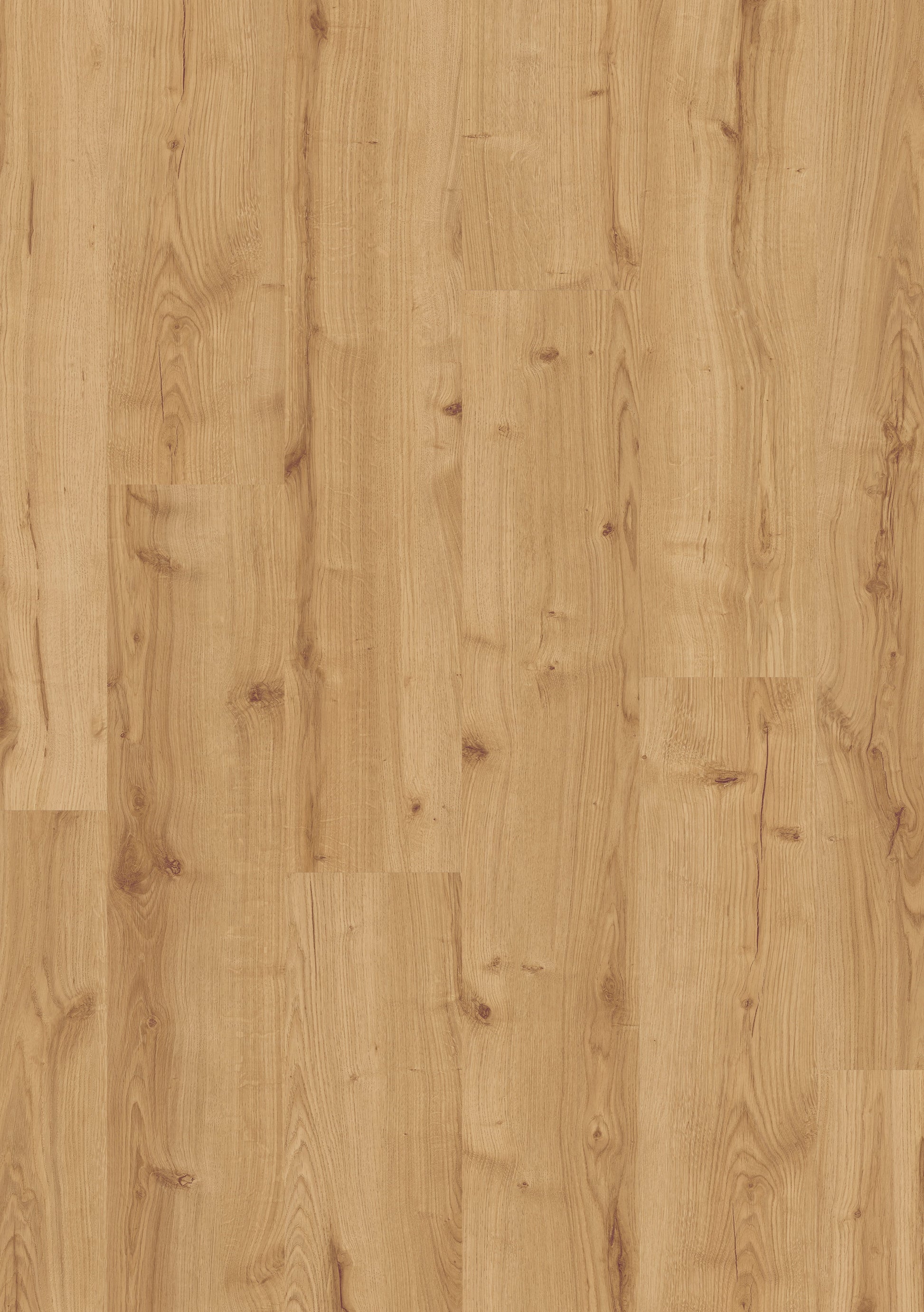 Beautifloor West-Vlaanderen Hooglede Laminaat 400107323