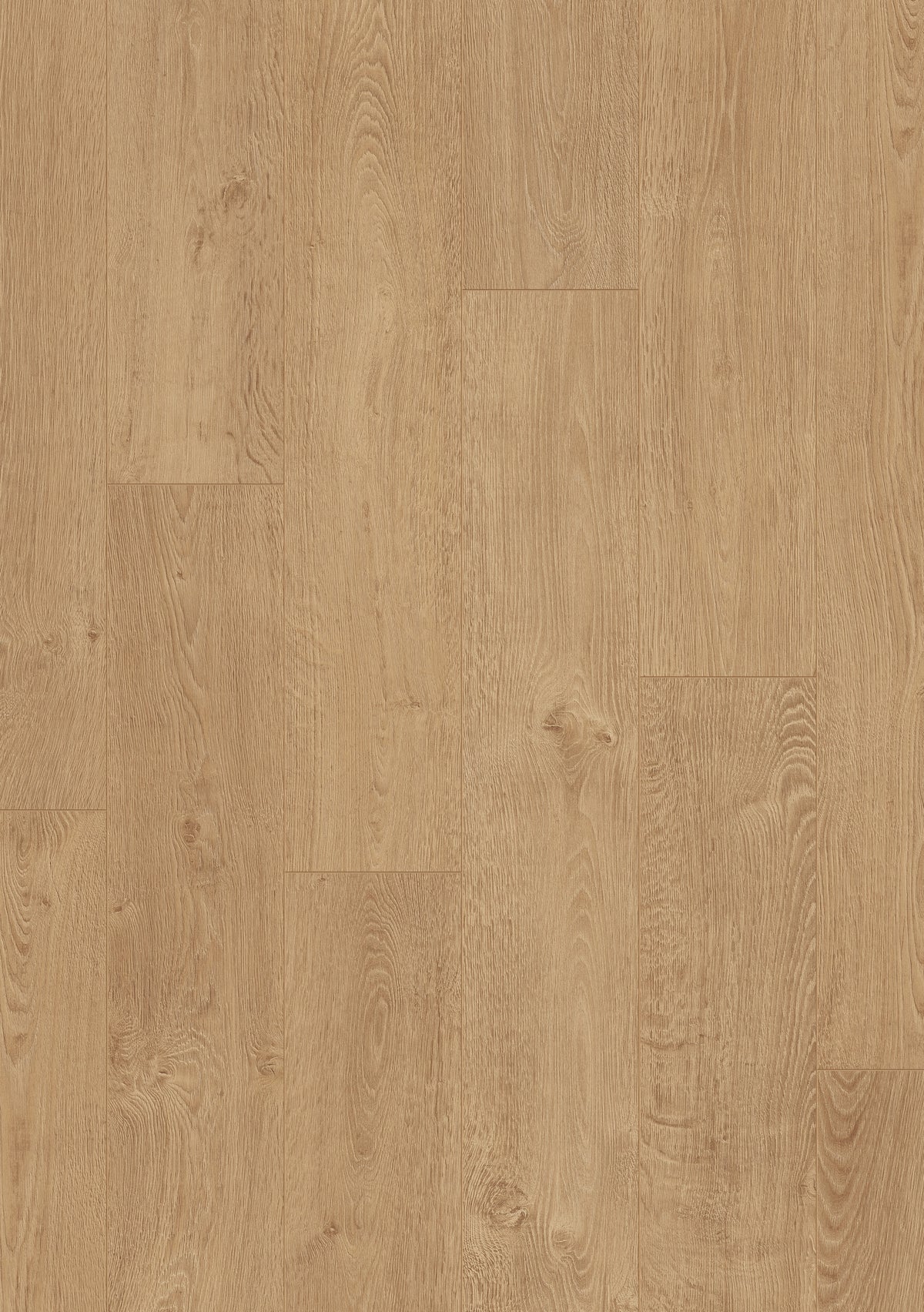 Beautifloor West-Vlaanderen Koksijde Laminaat 400107324