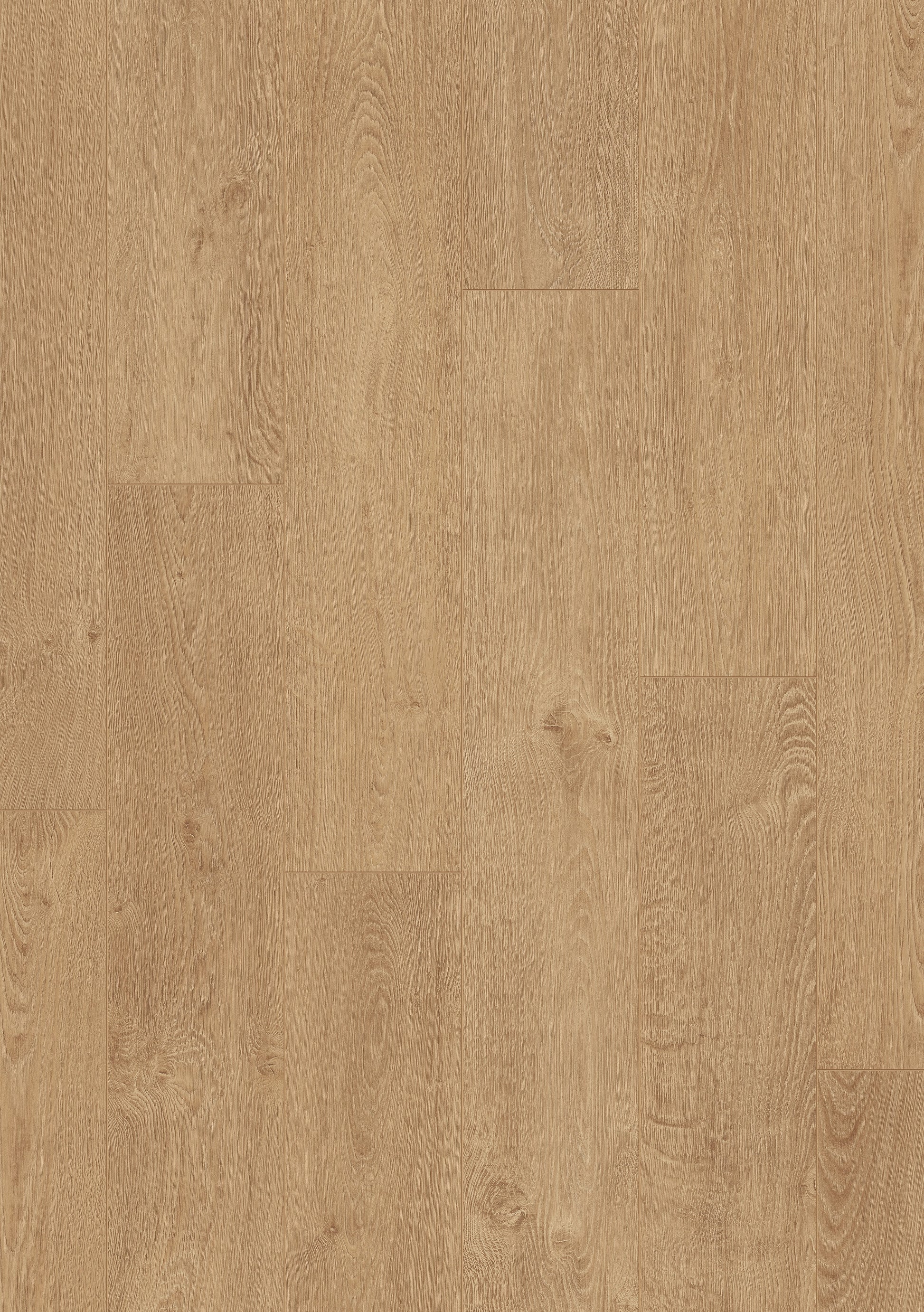 Beautifloor West-Vlaanderen Koksijde Laminaat 400107324