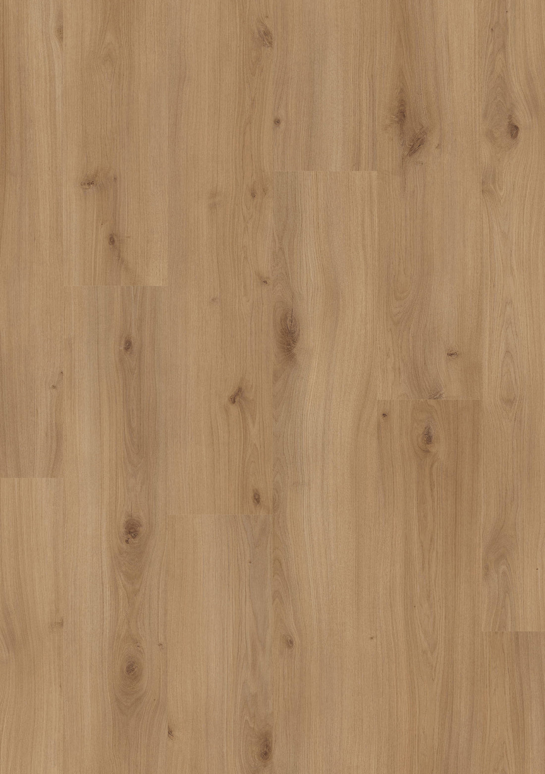 Beautifloor West-Vlaanderen Krombeke Laminaat 400107325