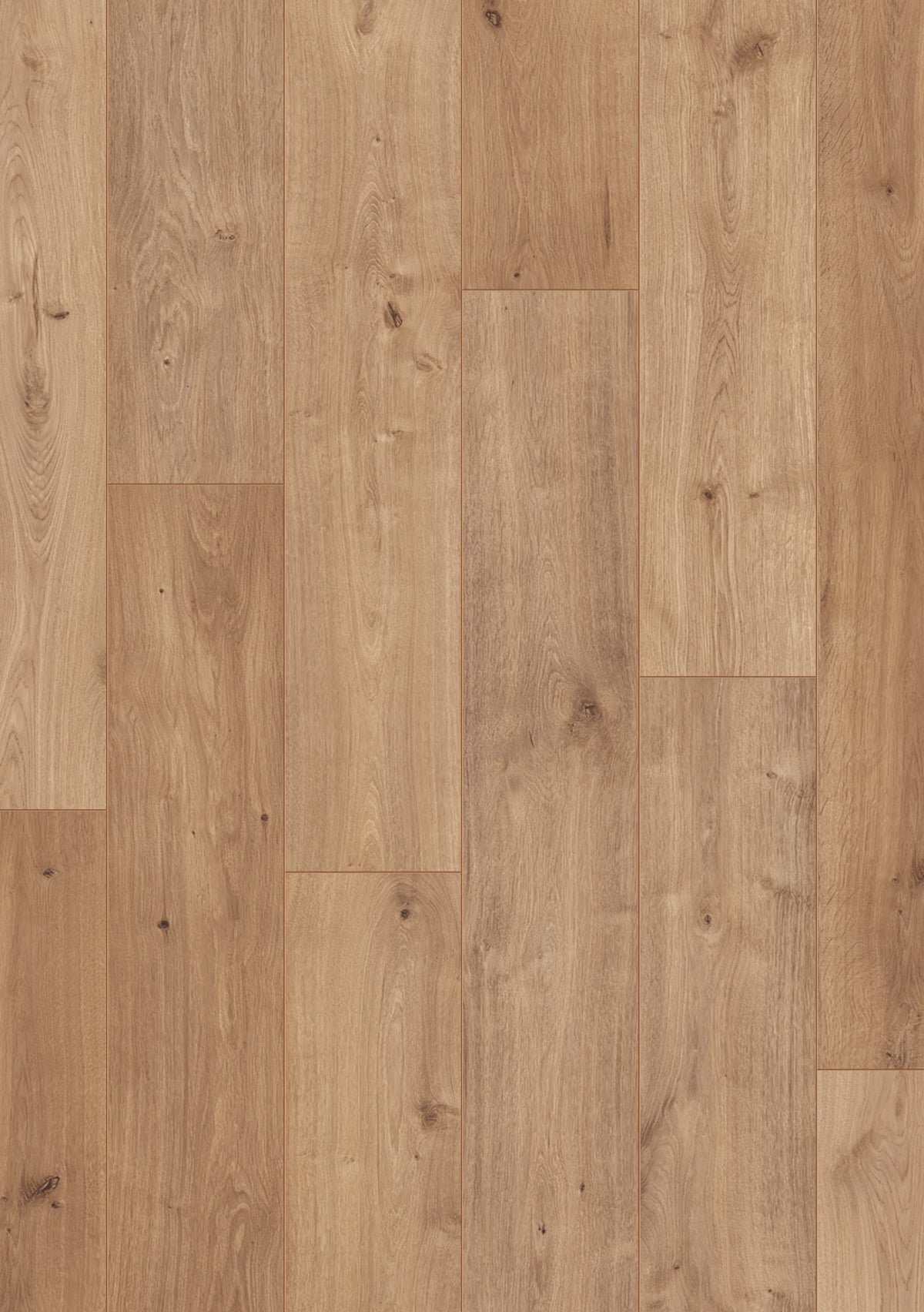 Beautifloor Ardennes Bertrix Laminate 400064012