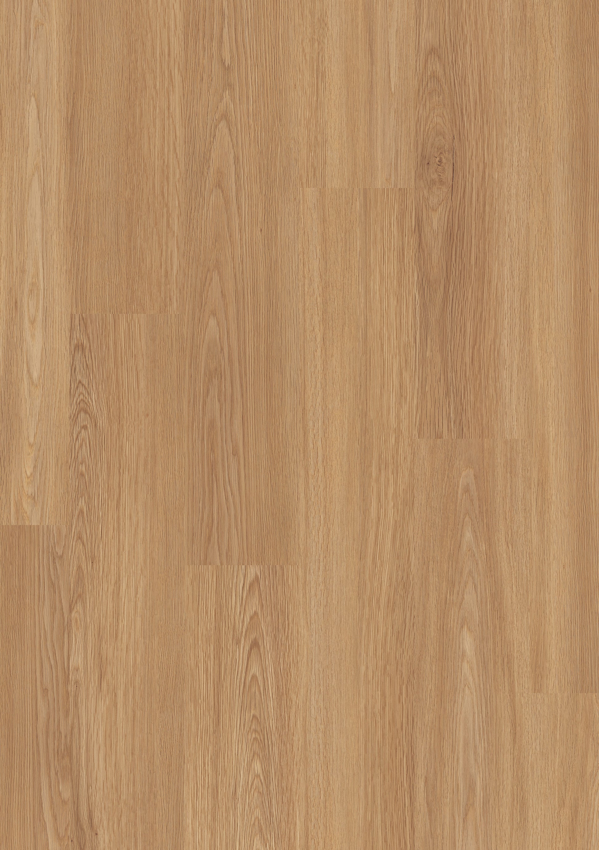 Beautifloor Ardennes Ciney Laminate 400100691