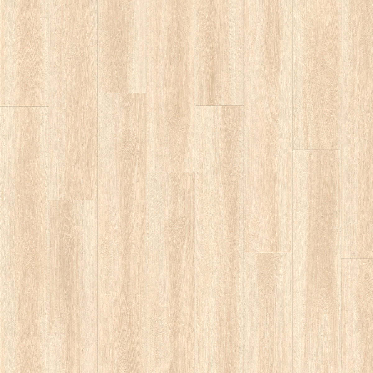 Beautfiloor Drenthe Veenoord Plak PVC 400108236