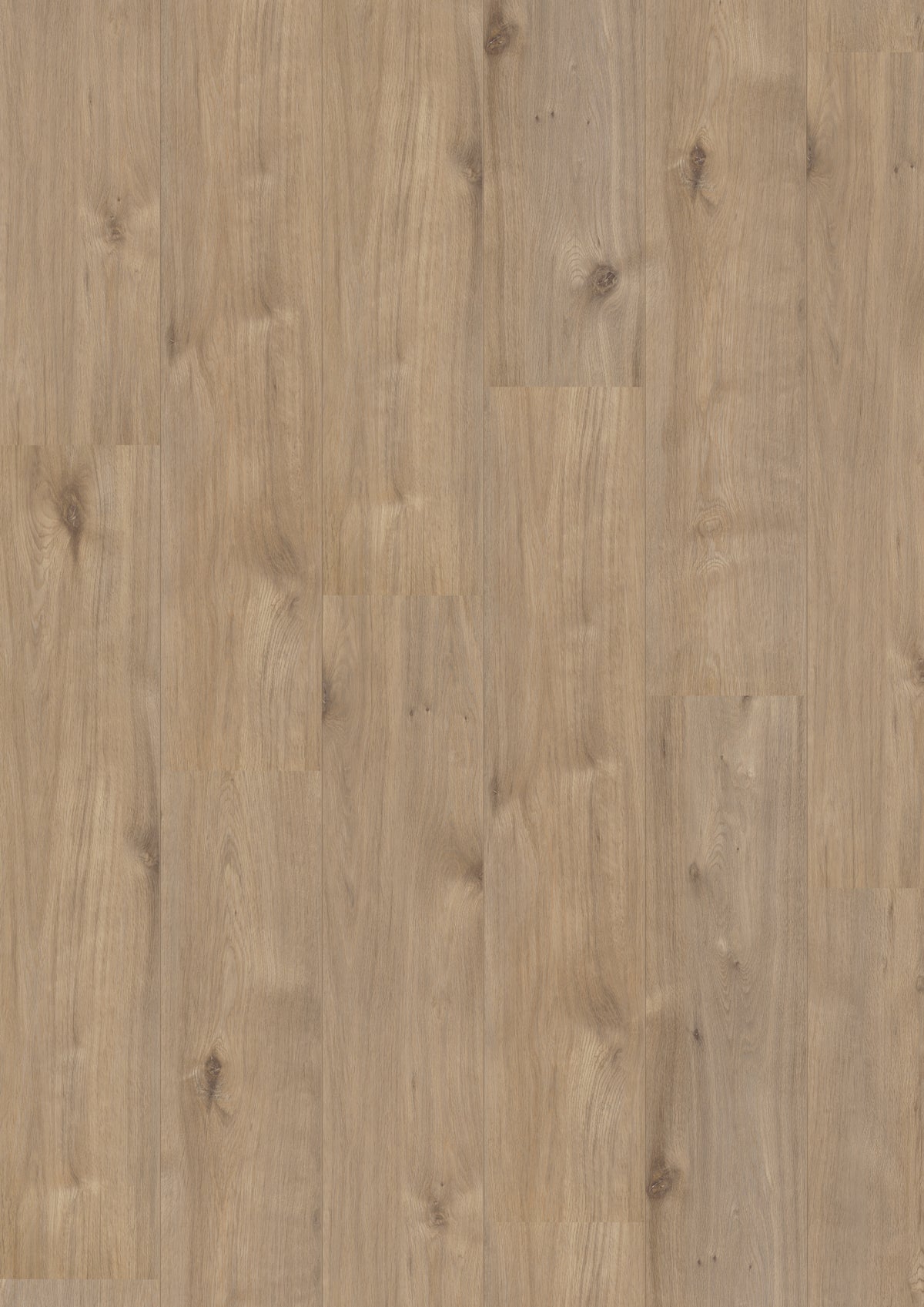 Hoomline Laminate Royal XL V2 969 ALPE D'HUEZ