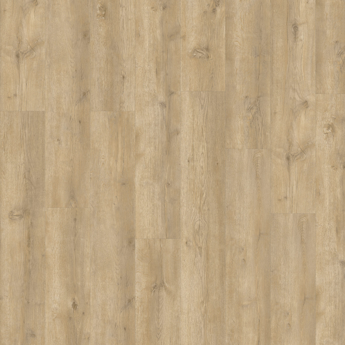 Beautifloor Zeeland Breskens Plank Click PVC 400108264
