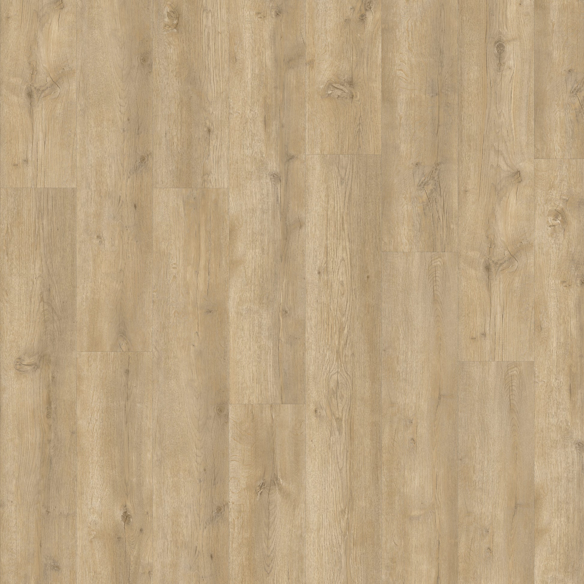 Beautifloor Zeeland Breskens Plank Click PVC 400108264