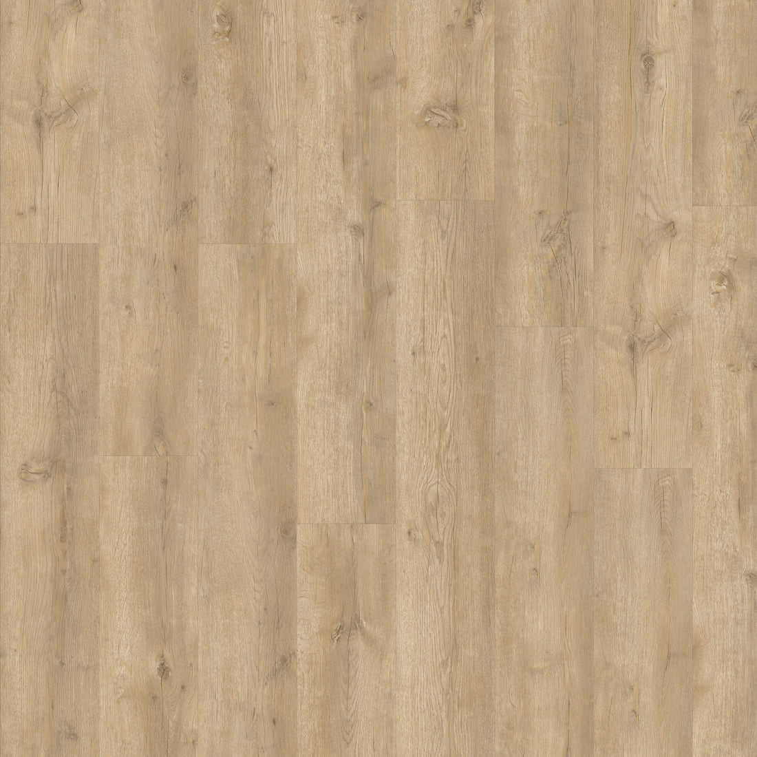 Beautifloor Zeeland Breskens Plank Glue Down PVC 400108243