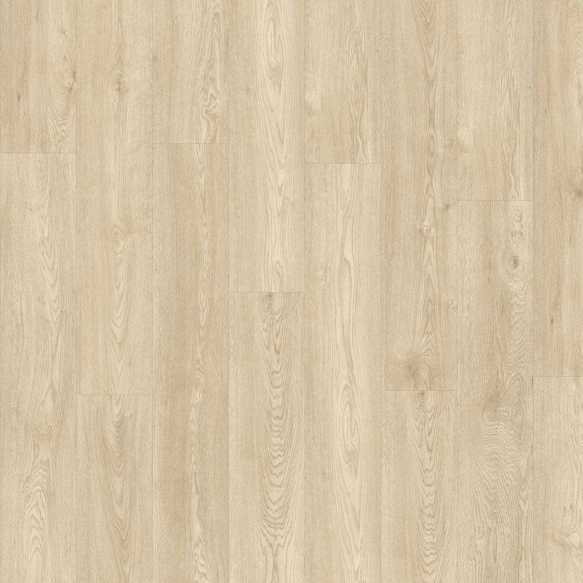 Beautifloor Zeeland Domburg Plank Plak PVC 400108248