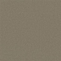 Ambiant Alaska Tapijt - 400cm breed - Per 100cm - Solza.nl