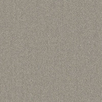 Ambiant Miami Tapijt - 400cm breed - Per 100cm - Solza.nl