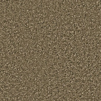 Ambiant Newberry Tapijt - 400cm breed - Per 100cm - Solza.nl