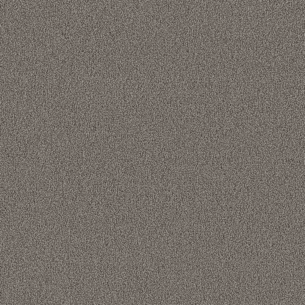 Ambiant Traffic Tapijt - 400cm breed - Per 100cm - Solza.nl