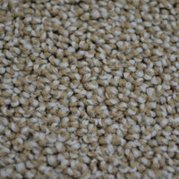 Ambiant Traffic Tapijt - 400cm breed - Per 100cm - Solza.nl