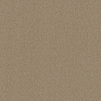 Ambiant Traffic Tapijt - 400cm breed - Per 100cm - Solza.nl