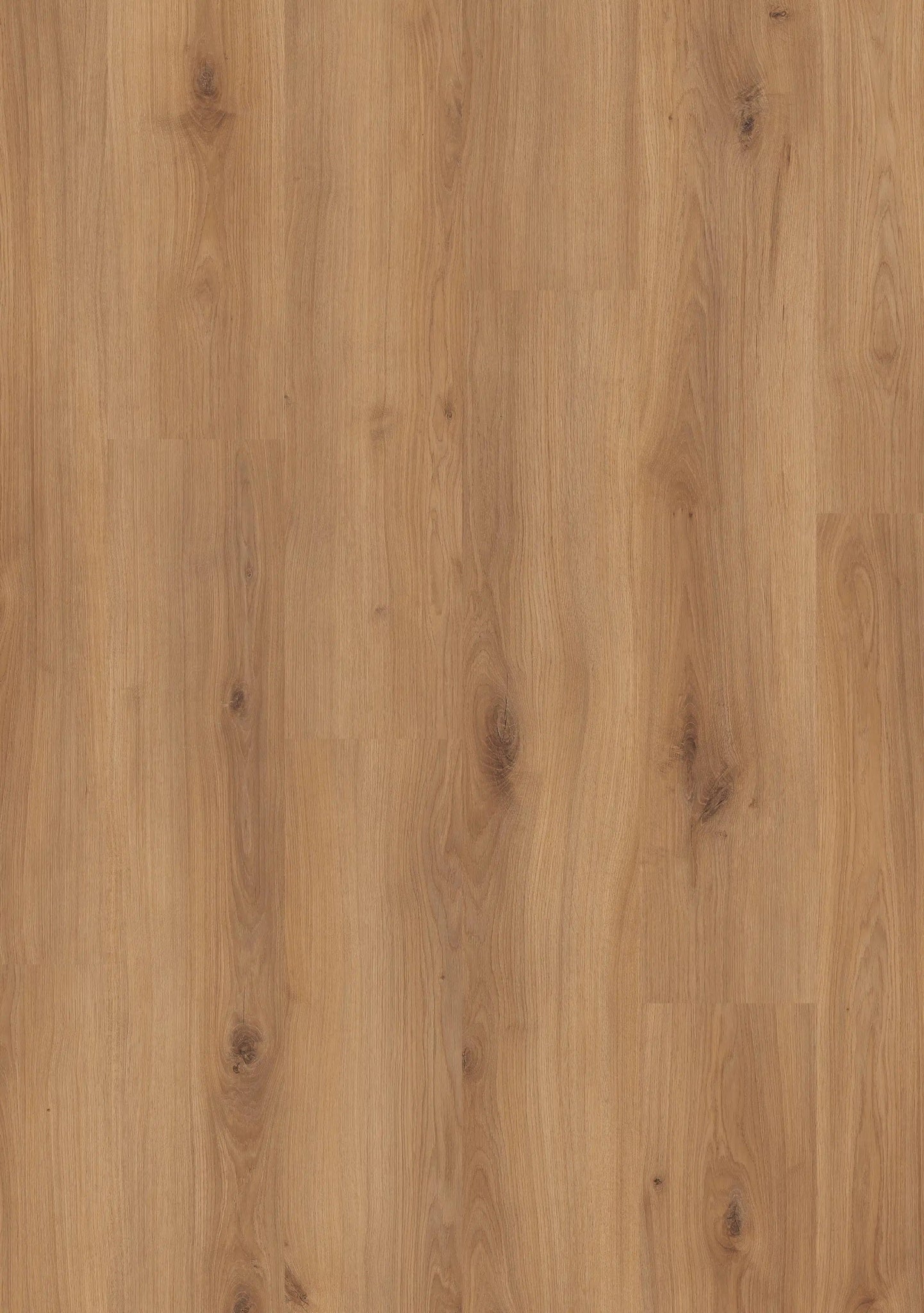 Beautifloor Ardennen Palogne Laminaat 400107306 - Solza.nl