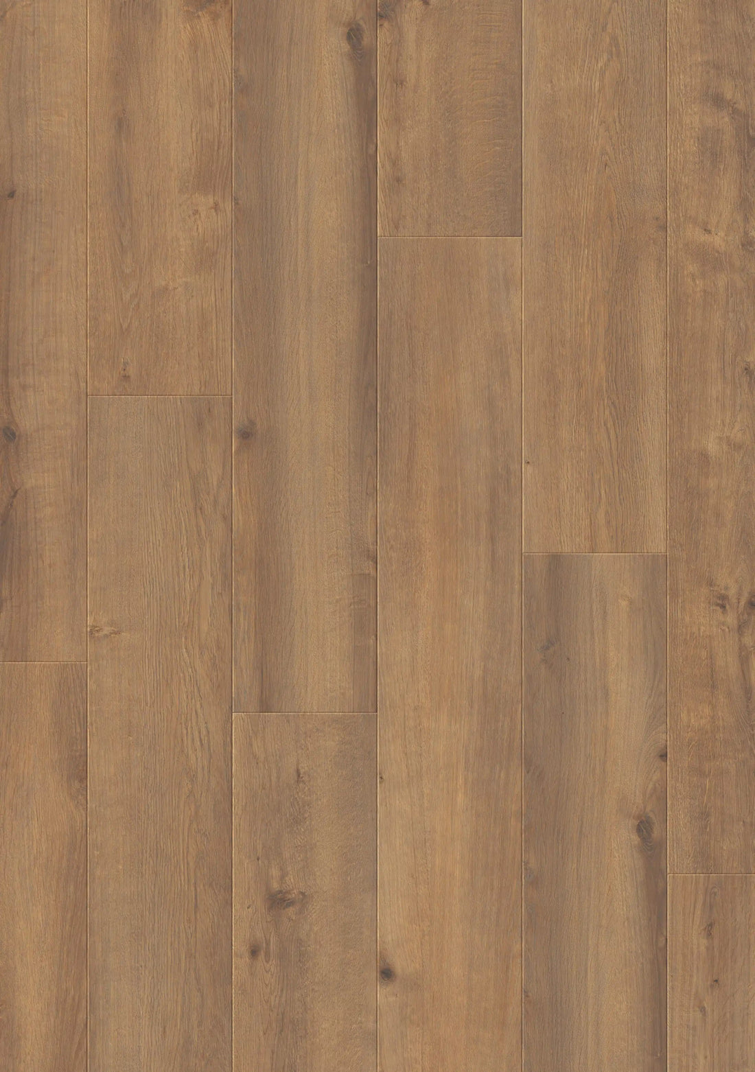 Beautifloor Henegouwen Houthem Laminaat 400107317 - Solza.nl