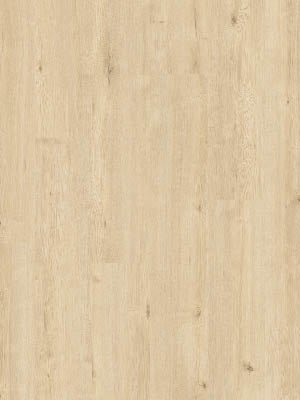 Beautifloor West - Vlaanderen Bovekerke Laminaat 400107320 - Solza.nl