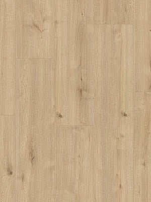 Beautifloor West - Vlaanderen Fortem Laminaat 400107321 - Solza.nl