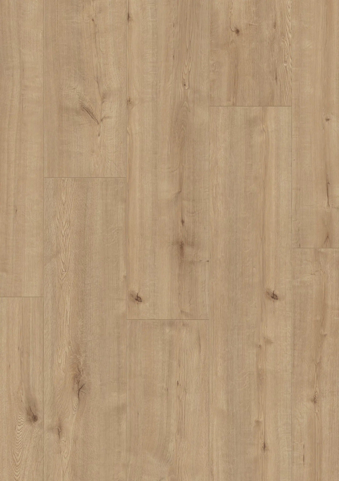 Beautifloor West - Vlaanderen Fortem Laminaat 400107321 - Solza.nl