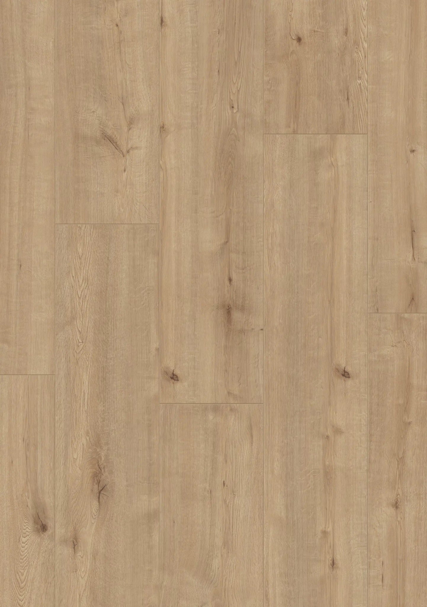 Beautifloor West - Vlaanderen Fortem Laminaat 400107321 - Solza.nl