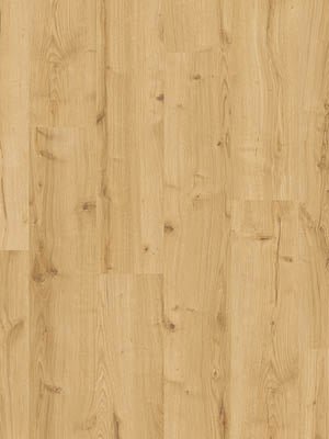 Beautifloor West - Vlaanderen Hooglede Laminaat 400107323 - Solza.nl