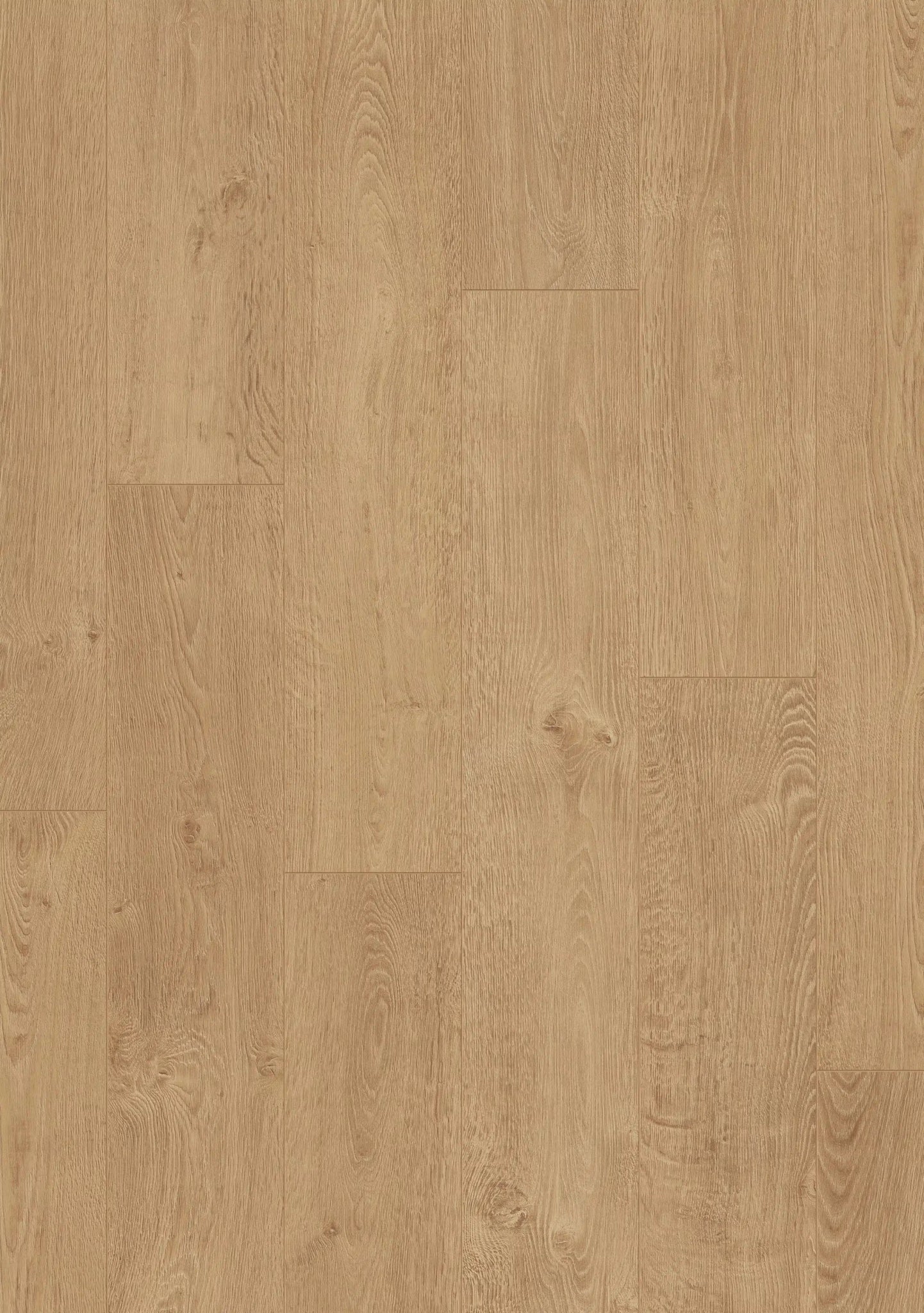 Beautifloor West - Vlaanderen Koksijde Laminaat 400107324 - Solza.nl