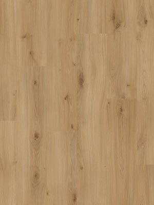 Beautifloor West - Vlaanderen Krombeke Laminaat 400107325 - Solza.nl