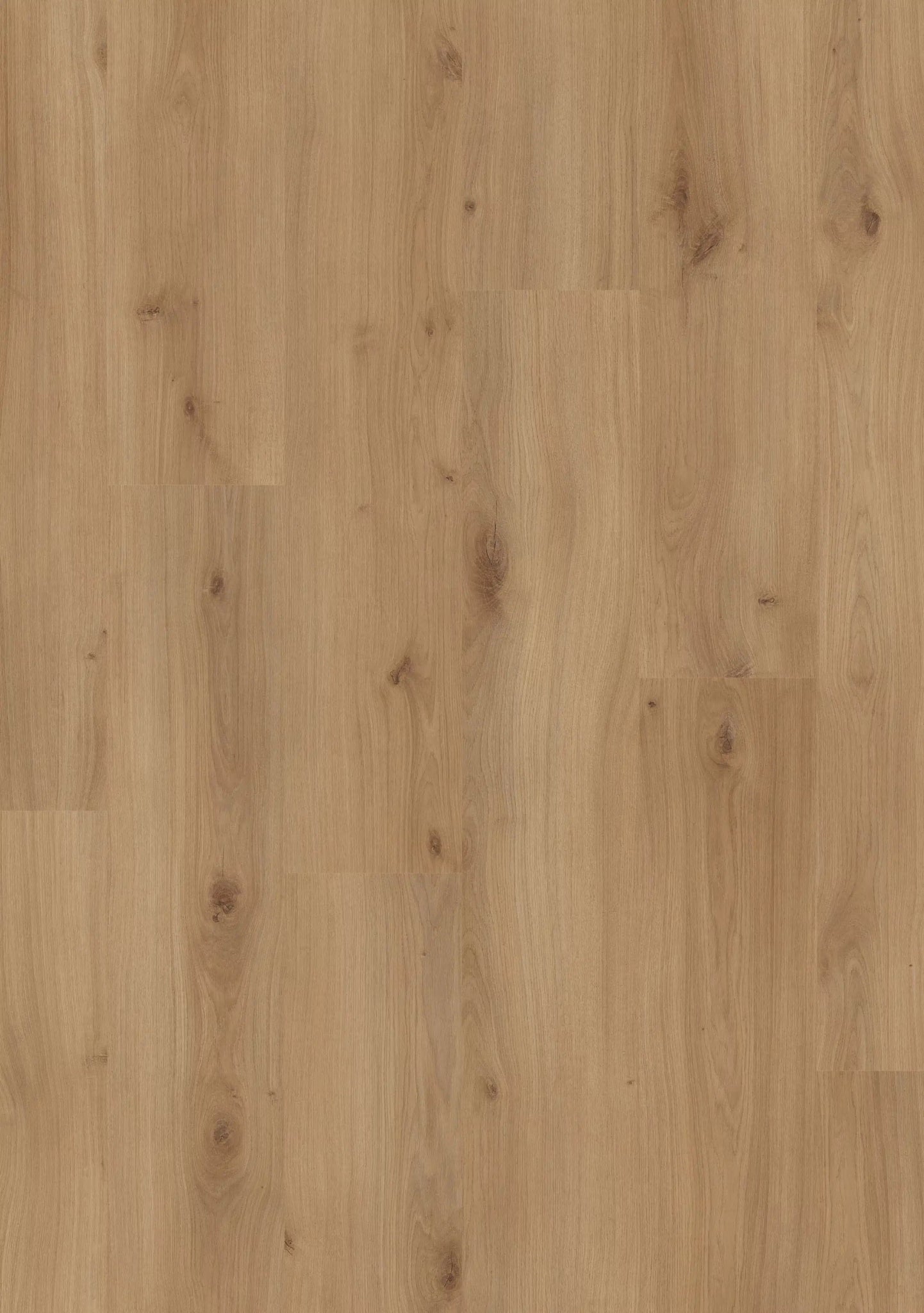 Beautifloor West - Vlaanderen Krombeke Laminaat 400107325 - Solza.nl